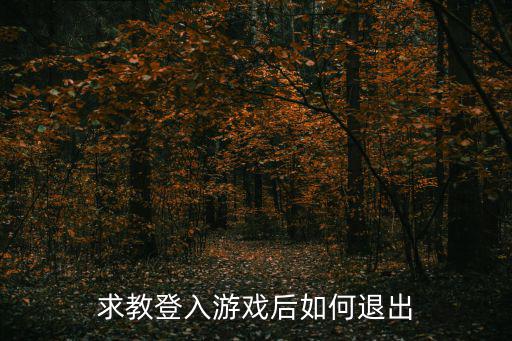 求教登入游戏后如何退出