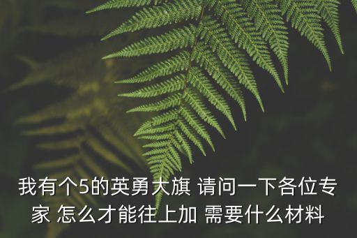 我有个5的英勇大旗 请问一下各位专家 怎么才能往上加 需要什么材料