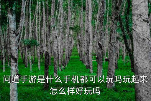 问道手游是什么手机都可以玩吗玩起来怎么样好玩吗