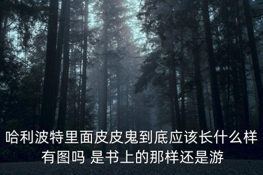 哈利波特里面皮皮鬼到底应该长什么样 有图吗 是书上的那样还是游