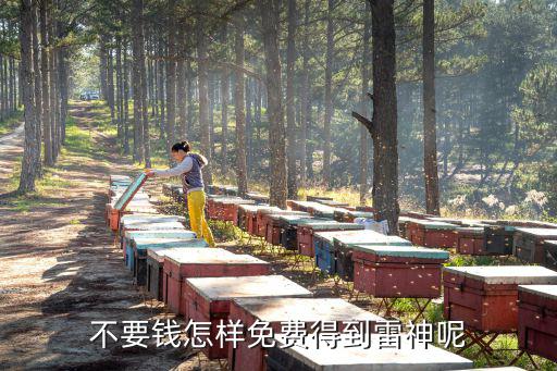 奥拉星手游雷神怎么得，怎么免费得到雷神
