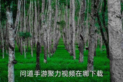 问道手游聚力视频在哪下载