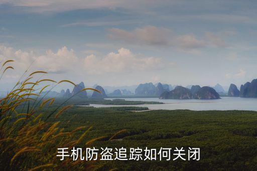 cf手游自动跟踪怎么关，手机防盗追踪如何关闭