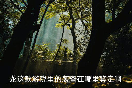 手游怎么看幻境龙属性，幻境如何在对话栏显示装备属性