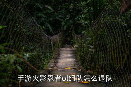 手游火影忍者ol组队怎么退队