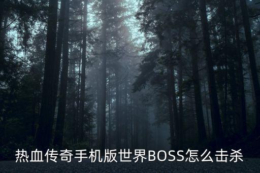 热血传奇手机版世界BOSS怎么击杀
