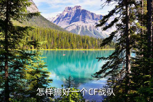 怎样搞好一个CF战队
