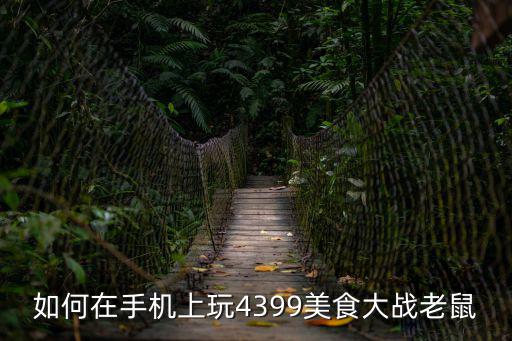 如何在手机上玩4399美食大战老鼠