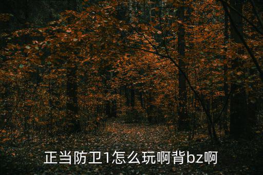 正当防卫1怎么玩啊背bz啊