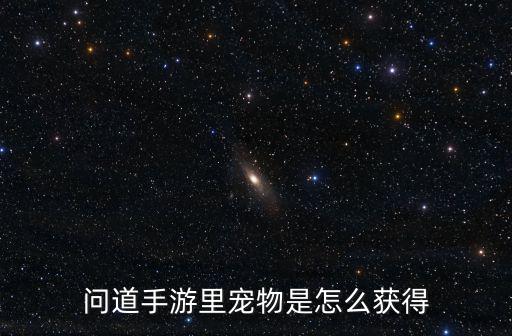 问道手游里宠物是怎么获得