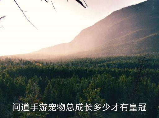 问道手游宠物总成长多少才有皇冠
