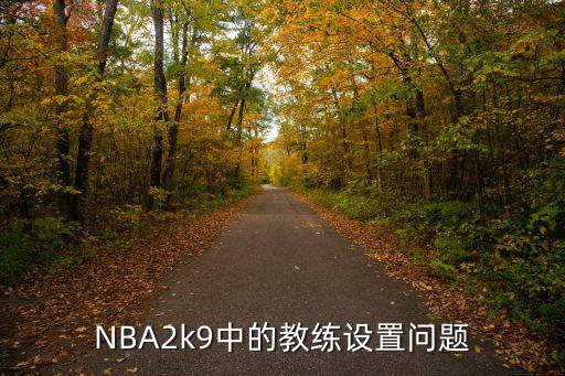 2k19手游教练怎么换，NBA2k9中的教练设置问题