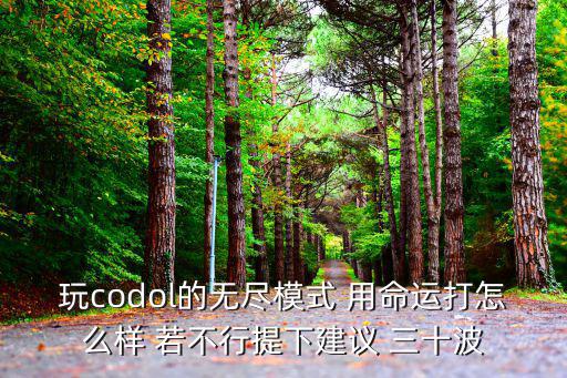 使命召唤手游变异狂潮无尽怎么玩，使命召唤ol无尽怎样带武器都带什么样的武器是两把主武器啊还