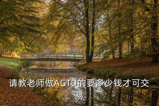请教老师做AGTD的要多少钱才可交易