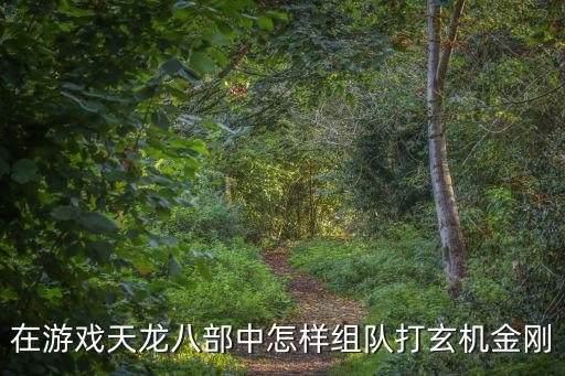 在游戏天龙八部中怎样组队打玄机金刚