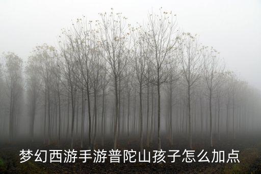 梦幻西游手游普陀山孩子怎么加点