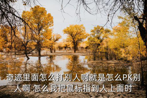 奇迹手游怎么打，奇迹里面怎么打别人啊就是怎么PK别人啊 怎么我把鼠标指到人上面时