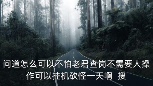 问道怎么可以不怕老君查岗不需要人操作可以挂机砍怪一天啊 搜