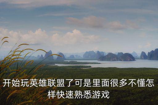 开始玩英雄联盟了可是里面很多不懂怎样快速熟悉游戏