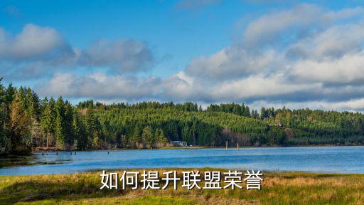 联盟手游怎么恢复荣誉等级，荣誉值怎么不见了