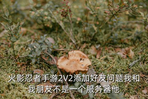 火影忍者手游2V2添加好友问题我和我朋友不是一个服务器他