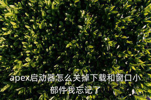 apex启动器怎么关掉下载和窗口小部件我忘记了