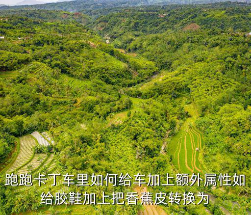 跑跑卡丁车里如何给车加上额外属性如给胶鞋加上把香蕉皮转换为