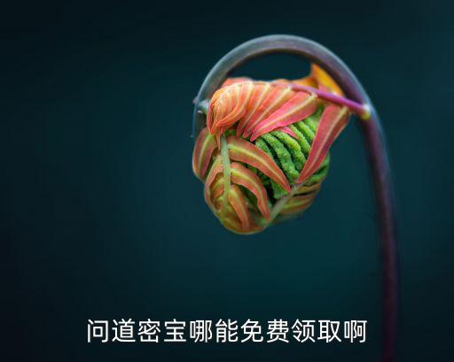 问道手游秘宝怎么免费获得，问道免费密宝怎么弄专业人士解说下详细点