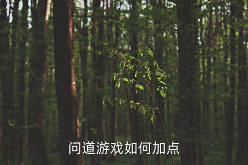 问道游戏如何加点
