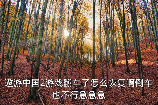 遨游中国2游戏翻车了怎么恢复啊倒车也不行急急急