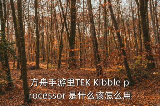 方舟手游里TEK Kibble processor 是什么该怎么用