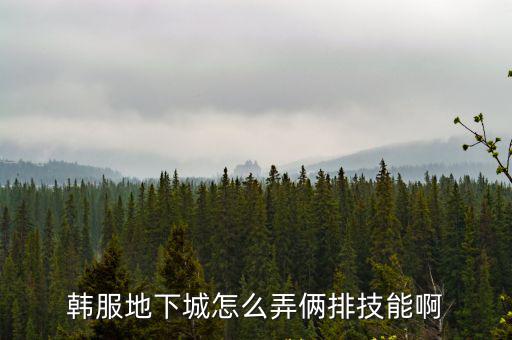 韩服DNF手游技能键怎么增加，韩服地下城怎么弄俩排技能啊