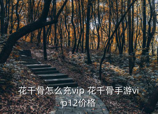 花千骨怎么充vip 花千骨手游vip12价格