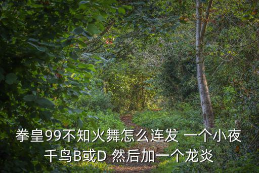 拳皇99不知火舞怎么连发 一个小夜千鸟B或D 然后加一个龙炎