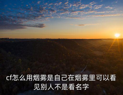 cf怎么用烟雾是自己在烟雾里可以看见别人不是看名字
