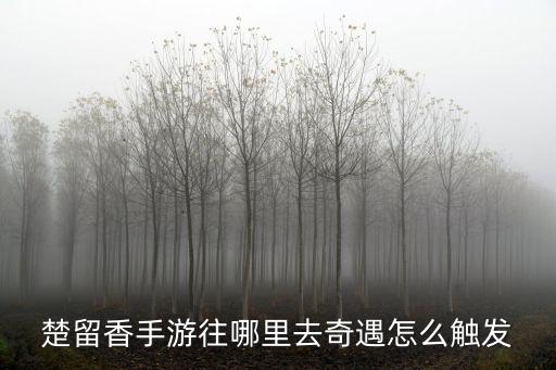 楚留香手游天下奇遇怎么触发，楚留香奇遇任务怎么触发 有哪些奇遇任务