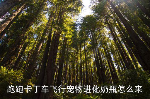 跑跑手游飞宠怎么进化，跑跑卡丁车飞行宠物进化奶瓶怎么来