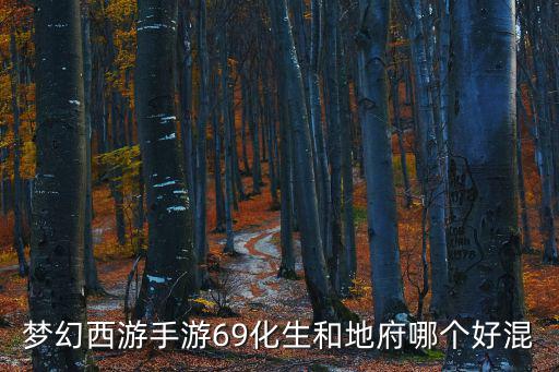 梦幻西游手游69化生和地府哪个好混