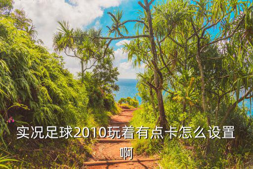 实况足球2010玩着有点卡怎么设置啊