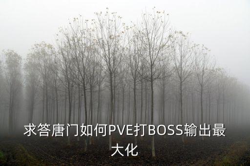 求答唐门如何PVE打BOSS输出最大化