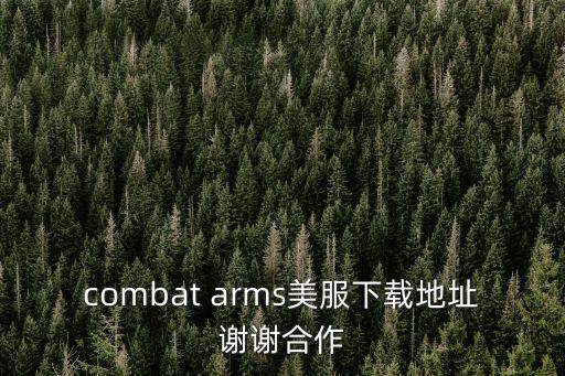 combat arms美服下载地址谢谢合作