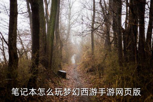 笔记本怎么玩梦幻西游手游网页版