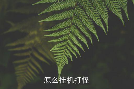 怎么挂机打怪