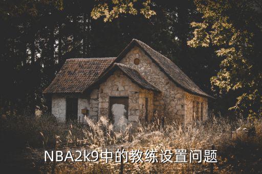 NBA2k9中的教练设置问题