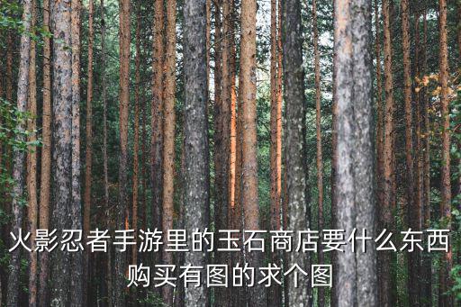 火影忍者手游里的玉石商店要什么东西购买有图的求个图