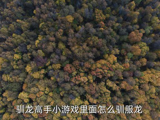 驯龙高手小游戏里面怎么驯服龙