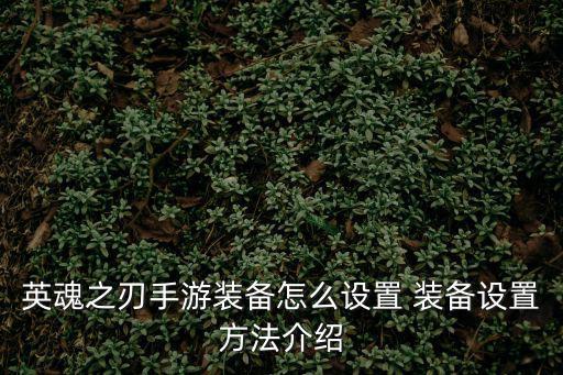 英魂之刃手游装备怎么设置 装备设置方法介绍