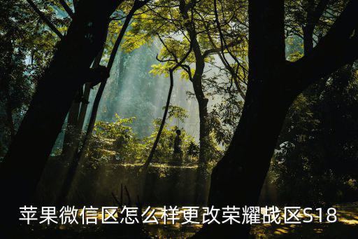 苹果英雄联盟手游怎么修改战区，换战区可以吗怎么换