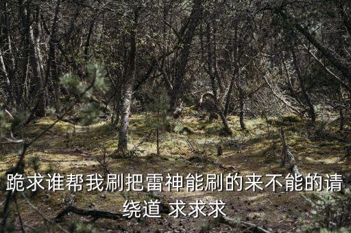 跪求谁帮我刷把雷神能刷的来不能的请绕道 求求求
