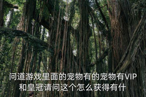 问道游戏里面的宠物有的宠物有VIP和皇冠请问这个怎么获得有什